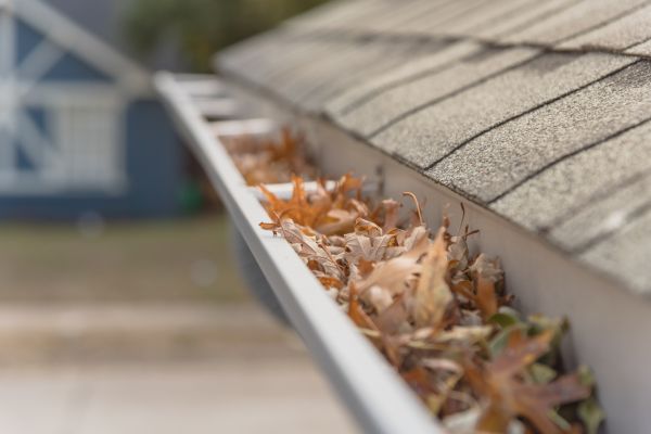 Leaf Barrier Installation in Fairhope